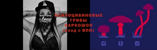 apvp Володарск