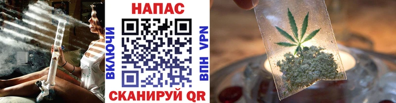 Канабис планчик  Южа 